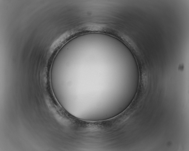 X0000116810682200912181345