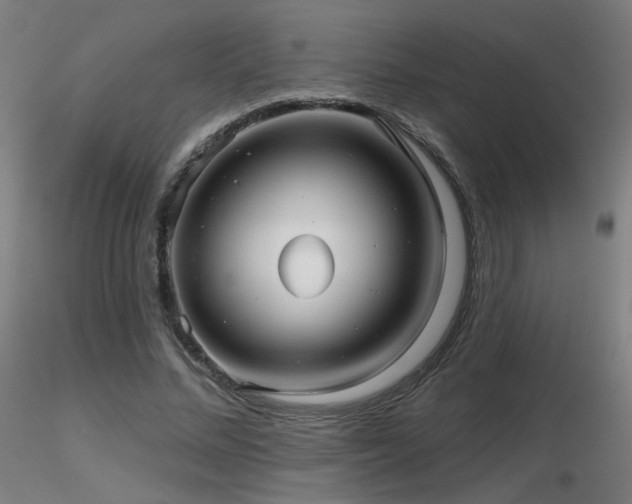 X0000116810684200912181345