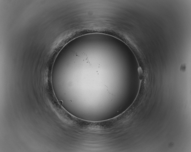 X0000116810685200912181345