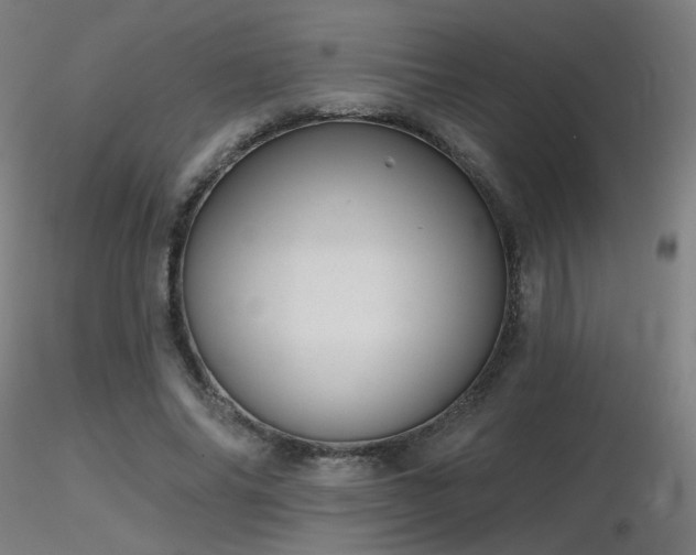 X0000116810686200912181345