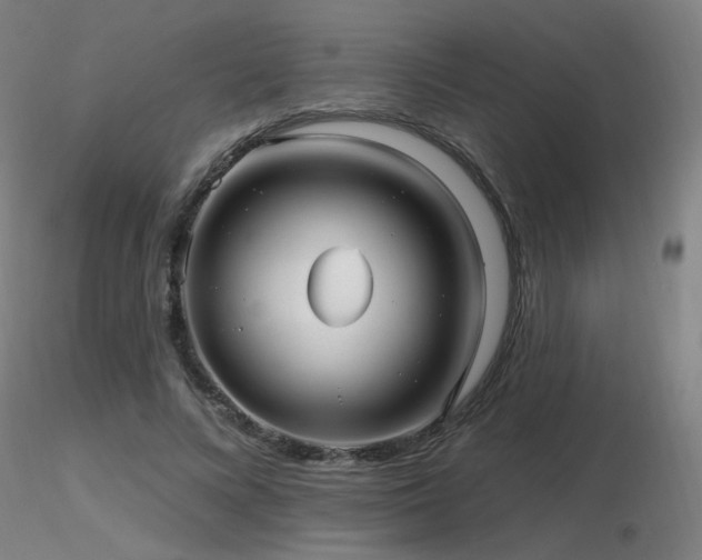 X0000116810688200912181345