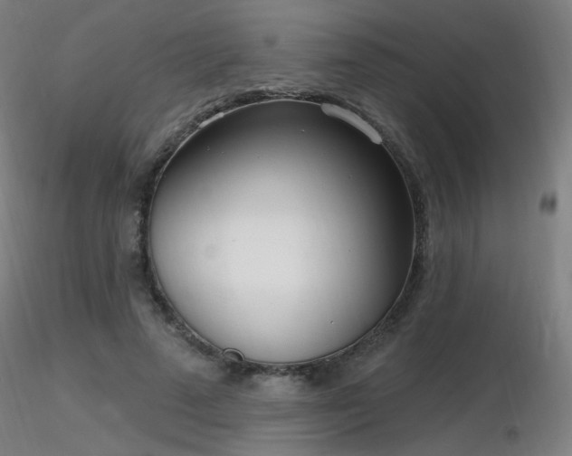 X0000116810689200912181345