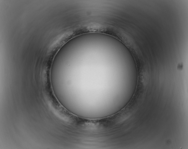 X0000116810690200912181345