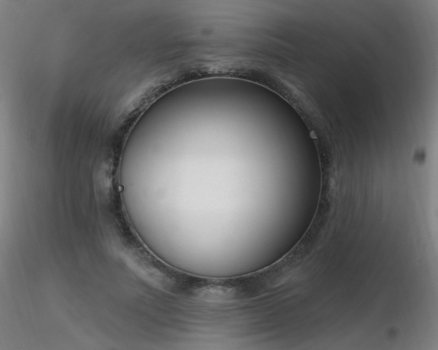 X0000116810691200912181345