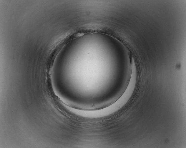 X0000116810692200912181345