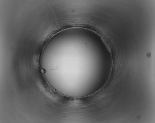 X0000116810695200912181345