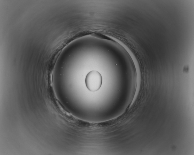 X0000116810696200912181345