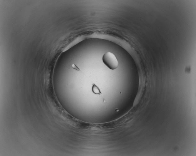 X0000116810697200912181345