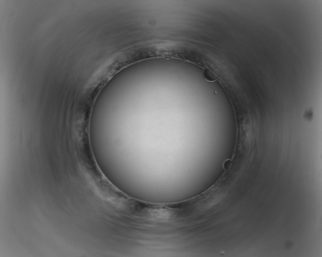 X0000116810698200912181345