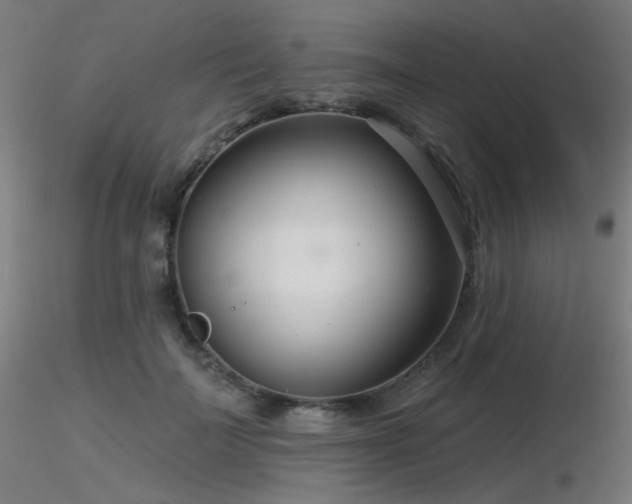 X0000116810699200912181345