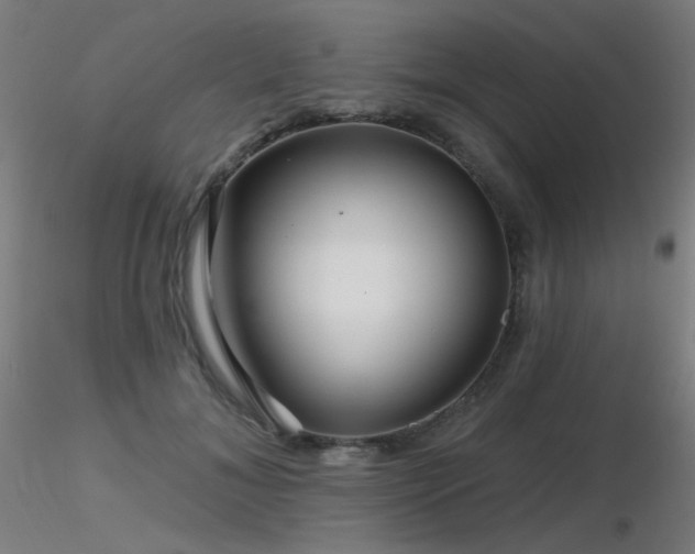X0000116810700200912181345