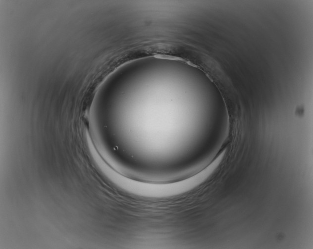 X0000116810701200912181345