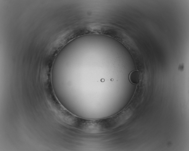 X0000116810702200912181345