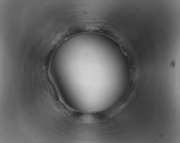 X0000116810704200912181345