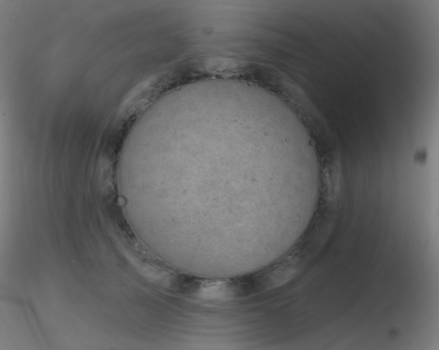 X0000116810705200912181345