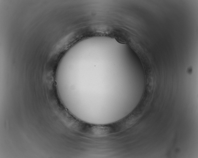 X0000116810707200912181345