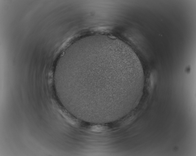 X0000116810708200912181345
