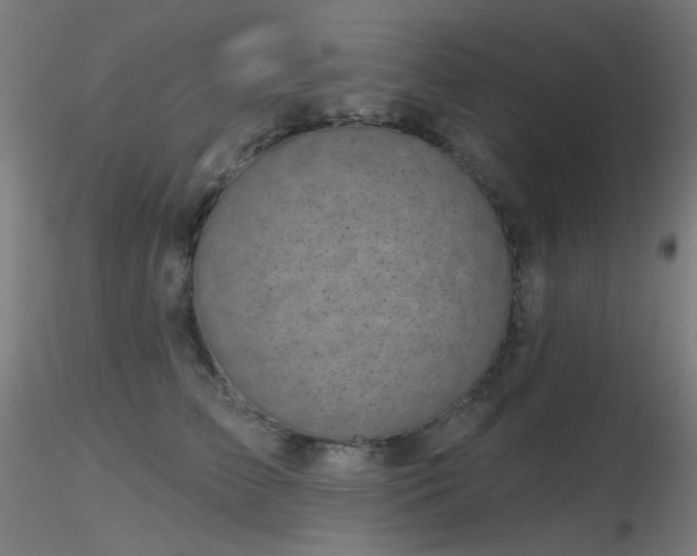 X0000116810709200912181345