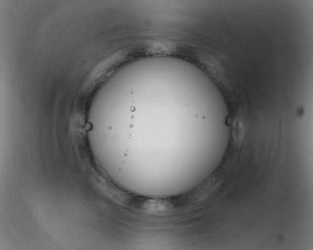 X0000116810714200912181345