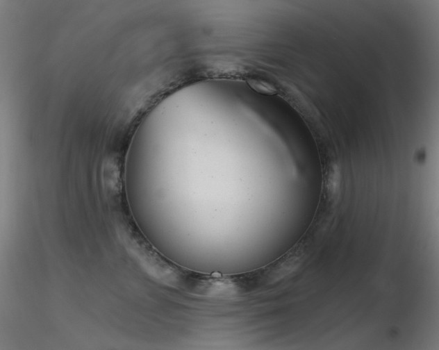 X0000116810715200912181345