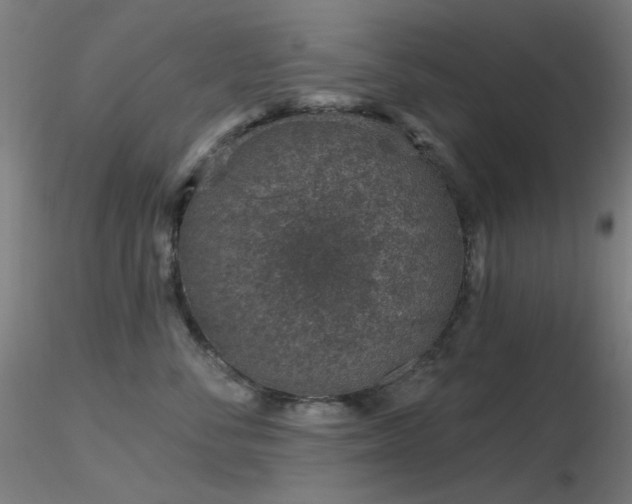 X0000116810716200912181345