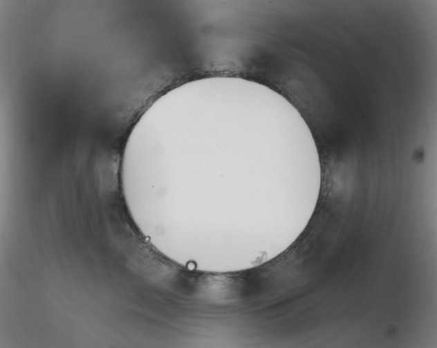 X0000116810717200912181345