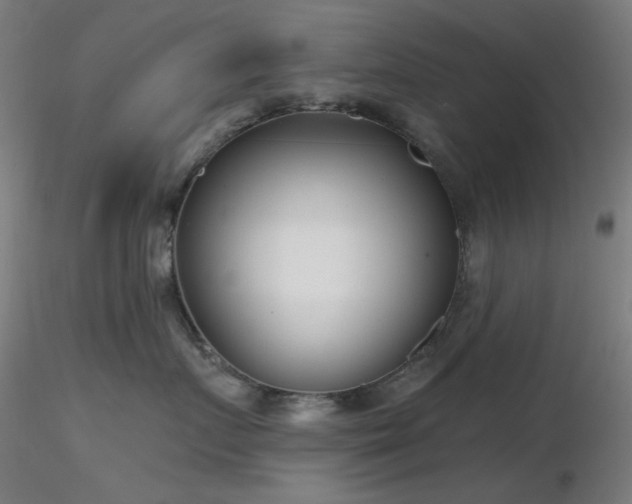 X0000116810719200912181344