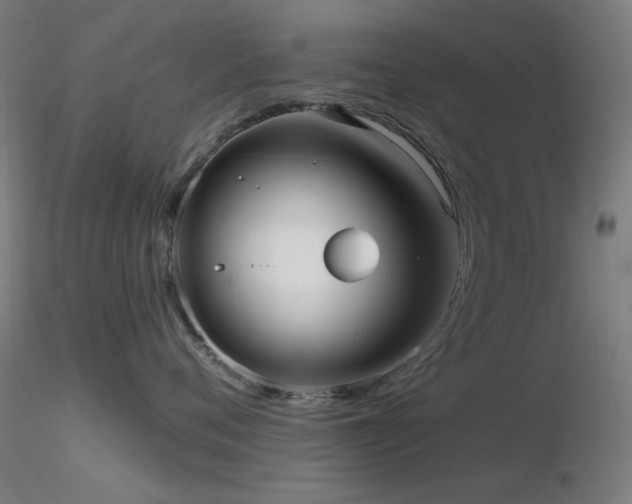X0000116810720200912181344