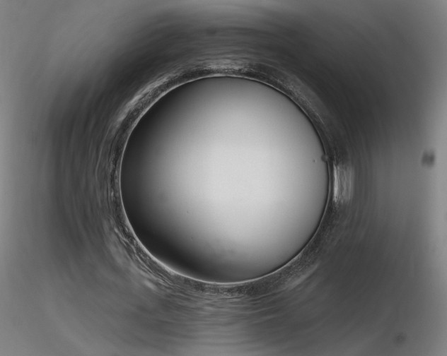 X0000116810723200912181344