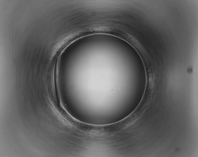 X0000116810725200912181344