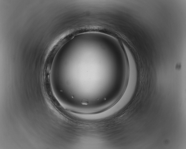 X0000116810726200912181344