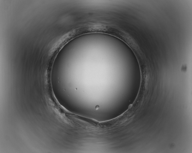 X0000116810729200912181344