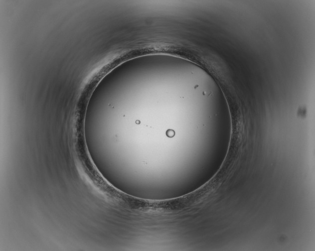 X0000116810730200912181344