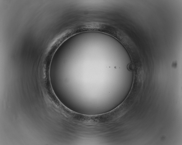 X0000116810731200912181344