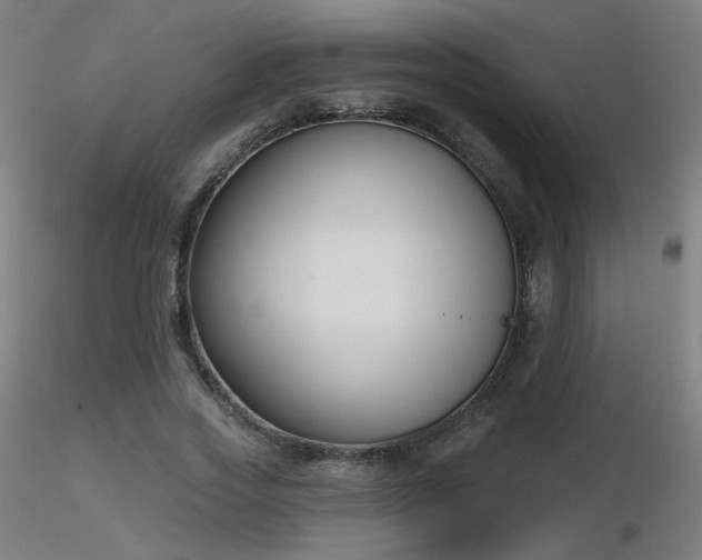 X0000116810733200912181344