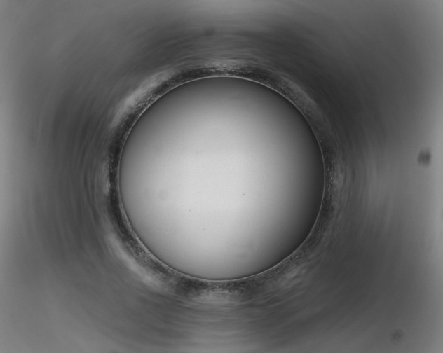X0000116810734200912181344