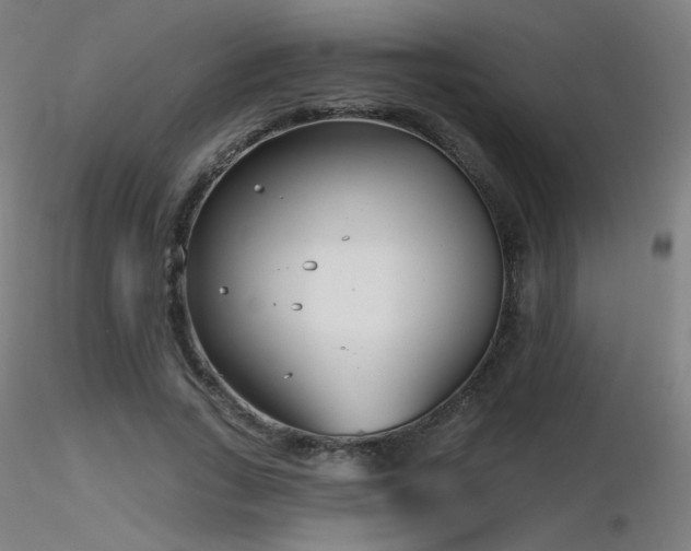 X0000116810735200912181344