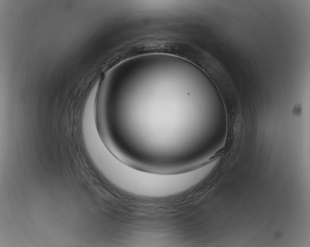 X0000116810737200912181344