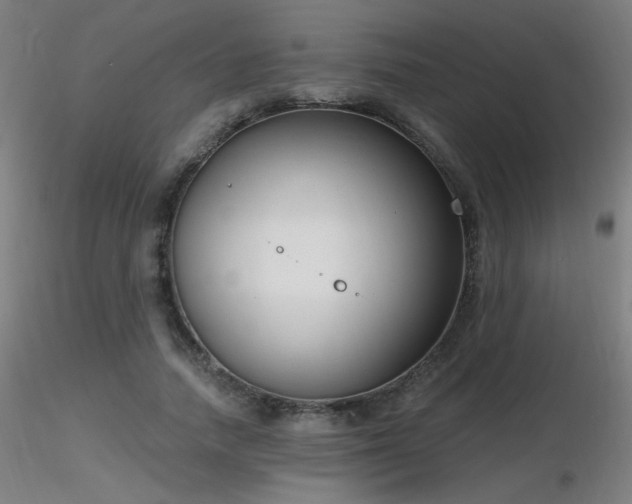 X0000116810738200912181344