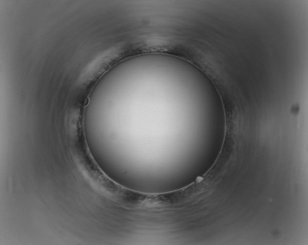 X0000116810742200912181344