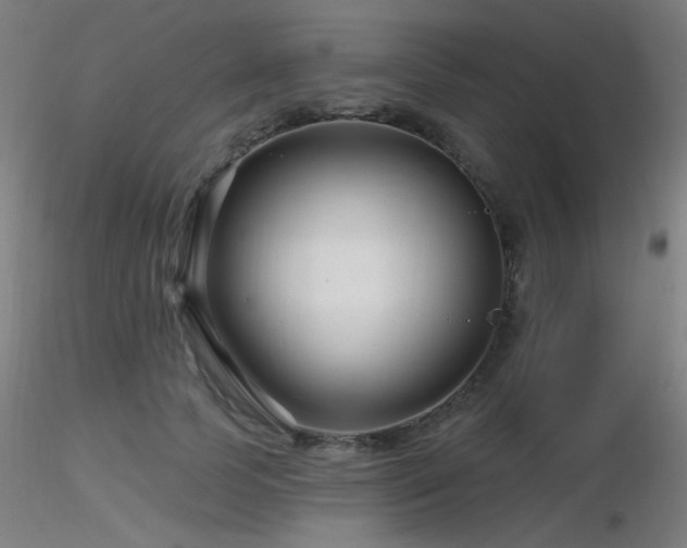 X0000116810745200912181344