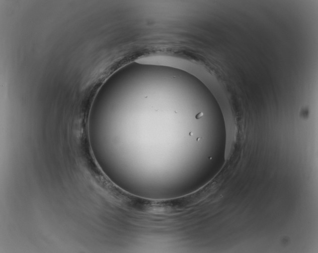 X0000116810746200912181344