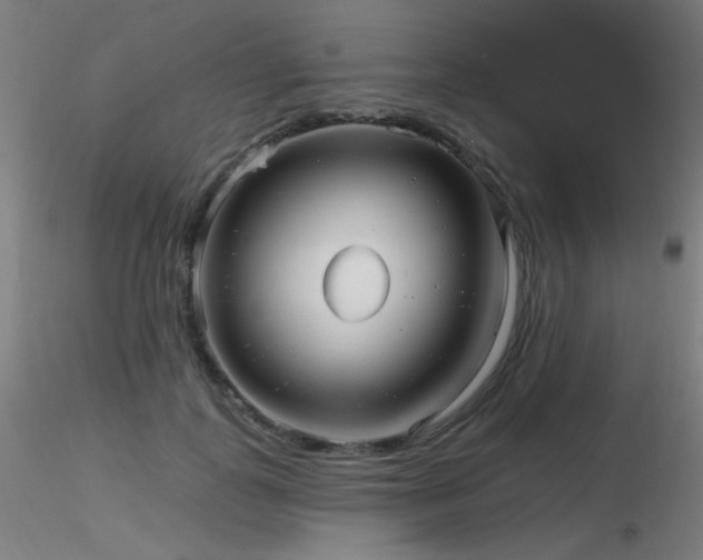 X0000116810747200912181344