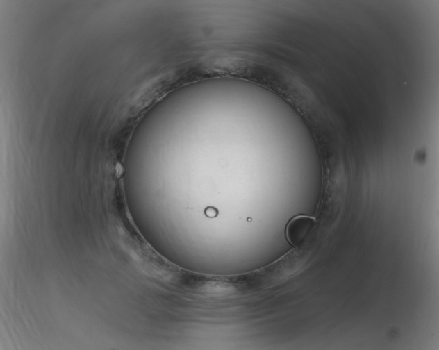 X0000116810749200912181344