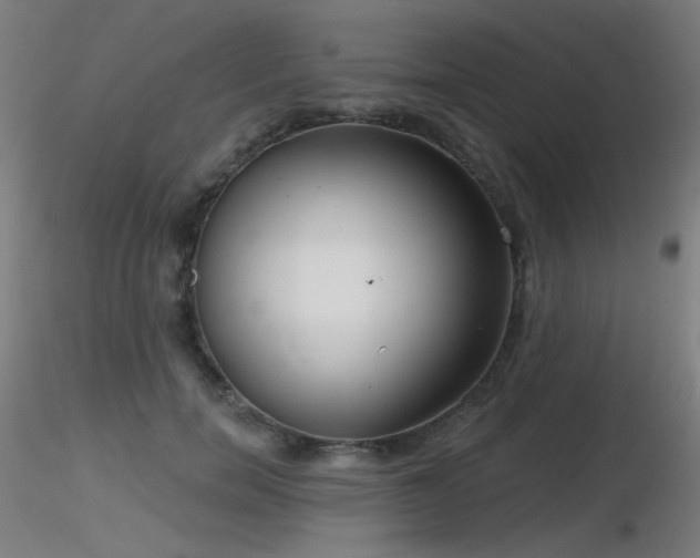 X0000116810750200912181344