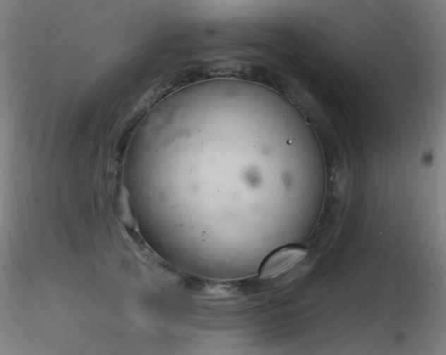 X0000116810753200912181344