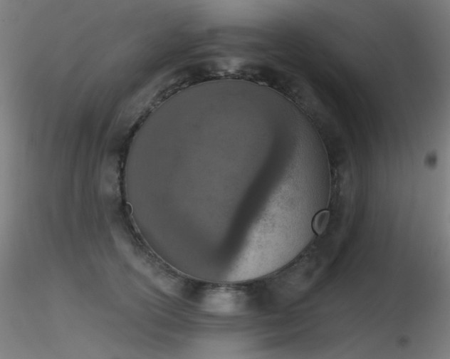 X0000116810754200912181344