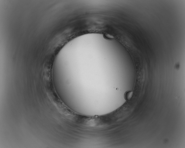 X0000116810755200912181344