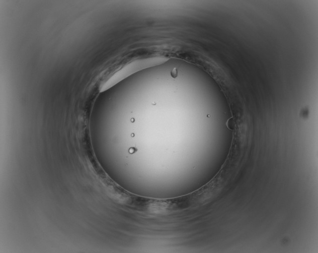 X0000116810757200912181344