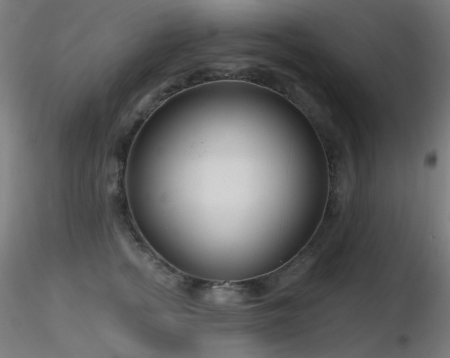 X0000116810758200912181344